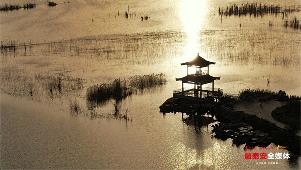 山東泰安：初夏的東平湖 夕陽如詩如畫